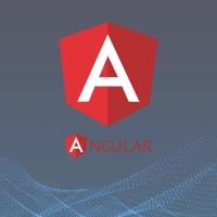 Angular Developer in delhi by Bigsea Infotech